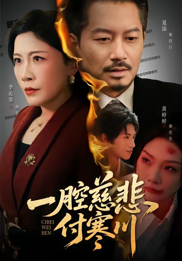 一腔慈悲付寒川海報