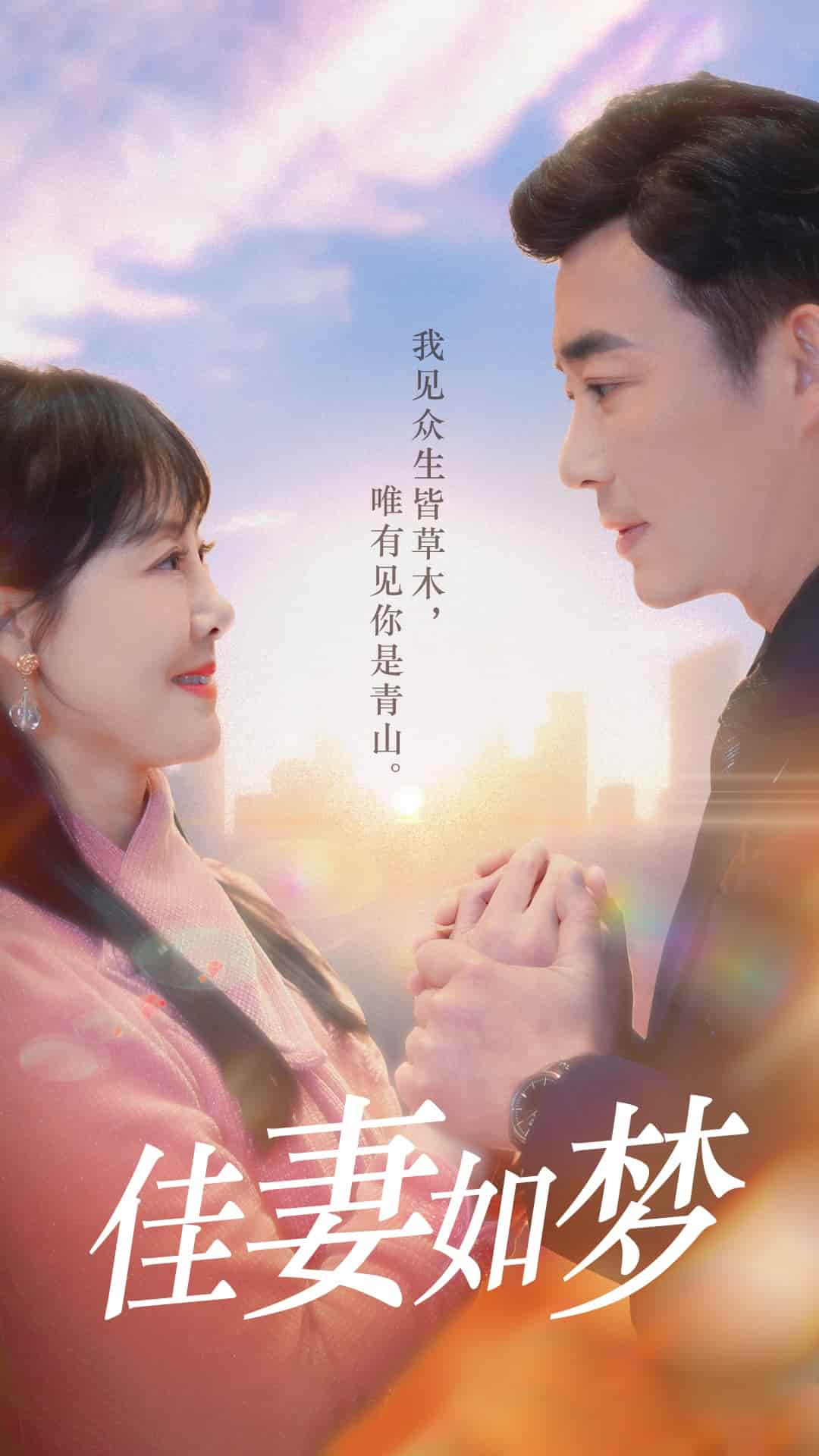 佳妻如夢海報