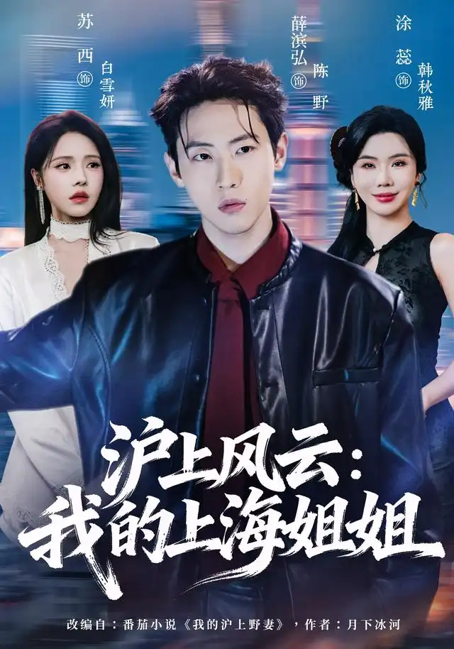 滬上風雲:我的上海姐姐海報