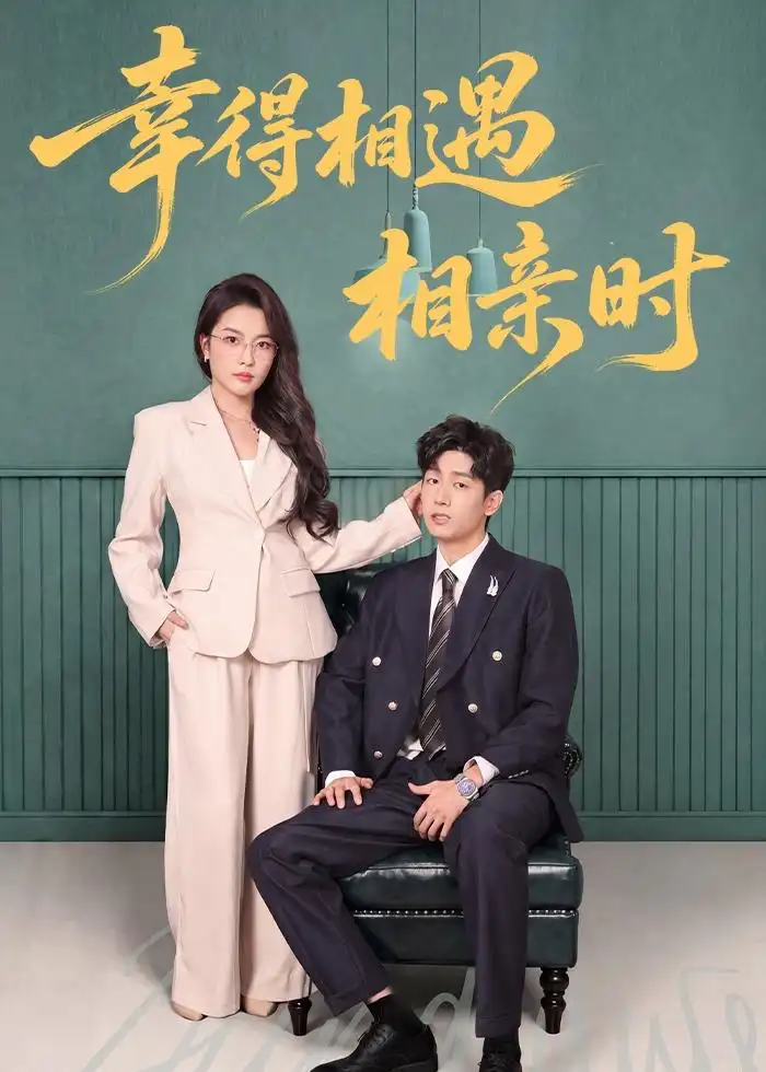 幸得相遇相親時海報