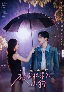 被雨淋溼的小狗海報