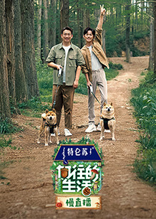 嚮往的生活7 慢直播海報