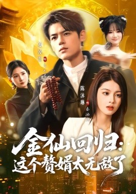 金仙迴歸:這個贅婿太無敵了海報