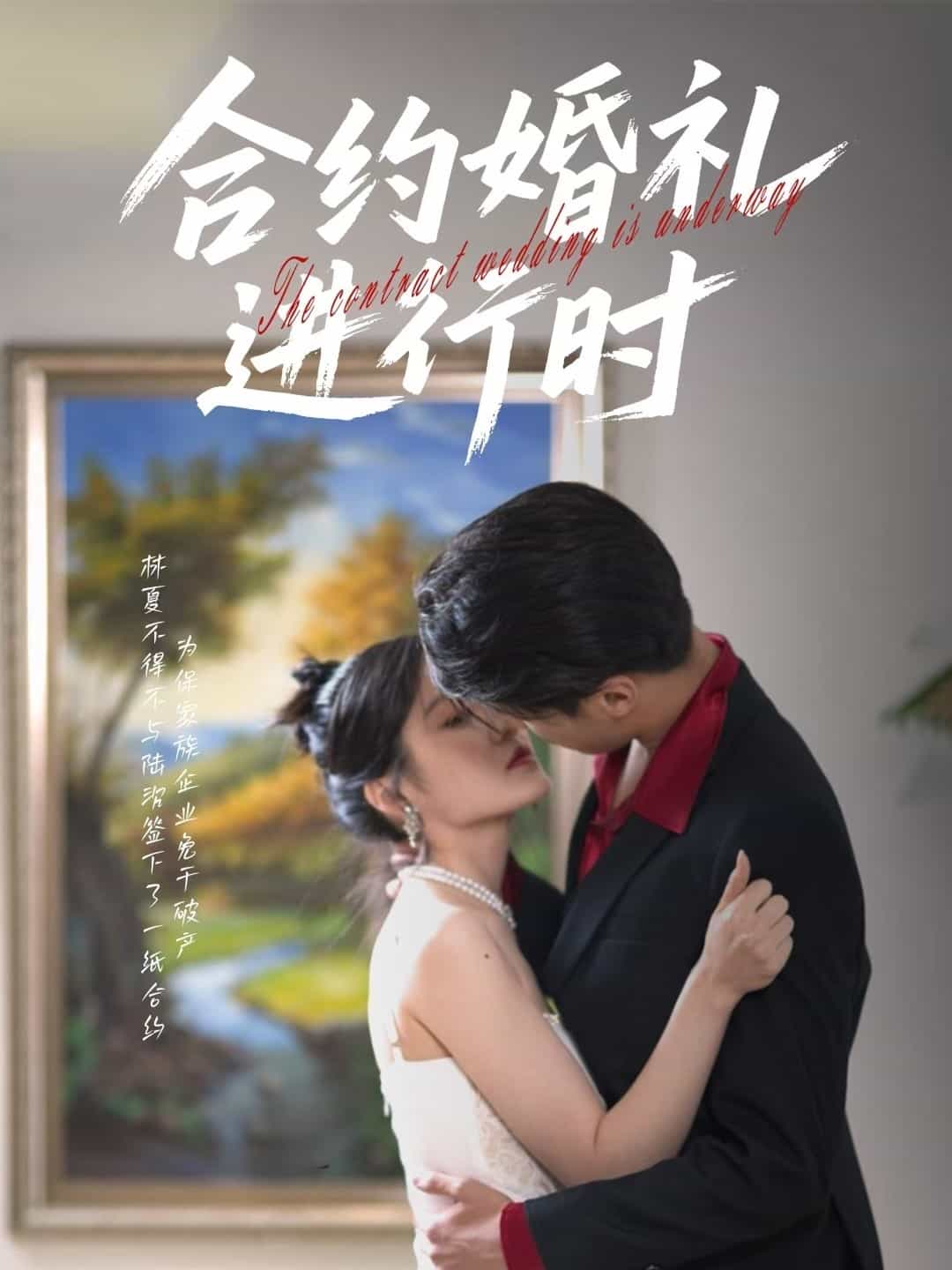 合約婚禮進行時海報