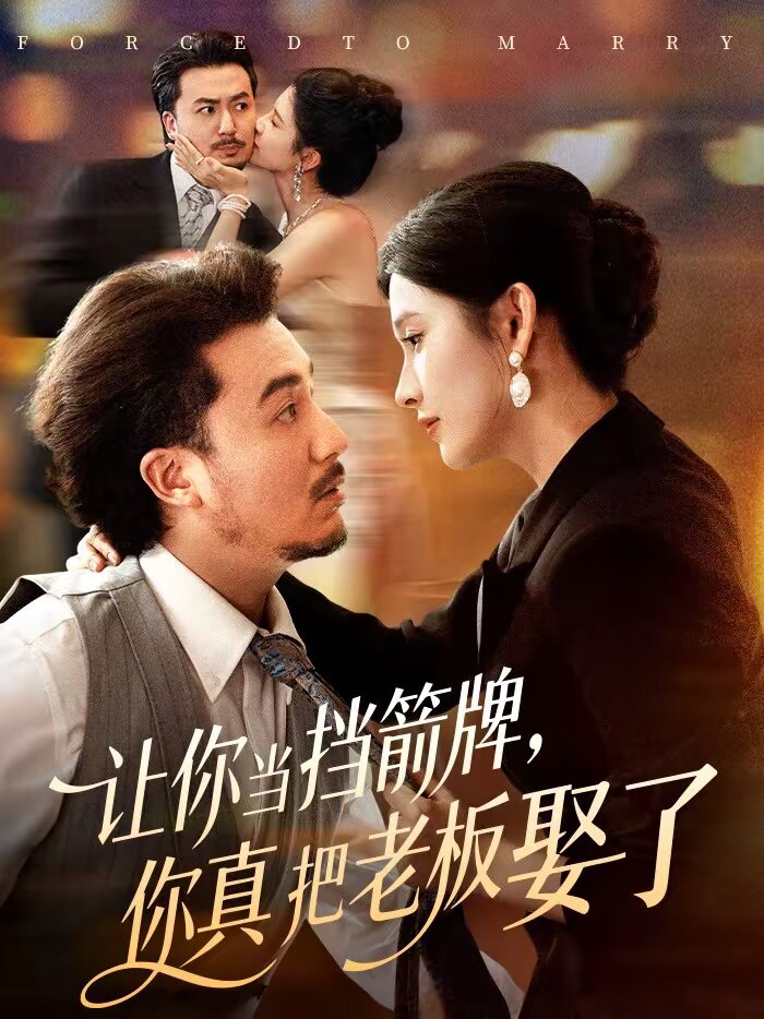 讓你當擋箭牌,你真把老闆娶了海報
