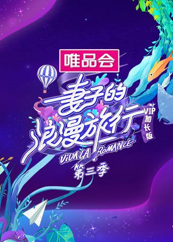 妻子的浪漫旅行3VIP海報