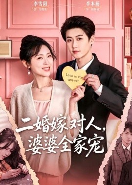 二婚嫁對人,婆婆全家寵海報