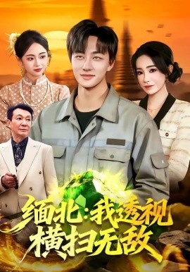 緬北:我透視橫掃無敵海報