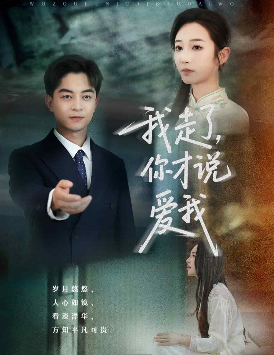 我走了你才說愛我海報
