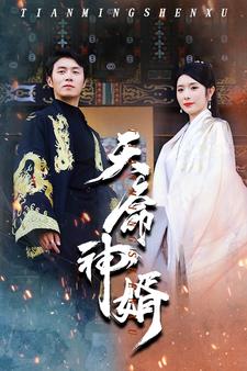 天命神婿海報