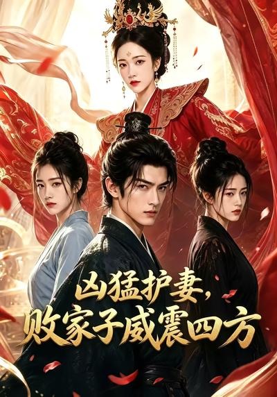 兇猛護妻,敗家子威震四方海報