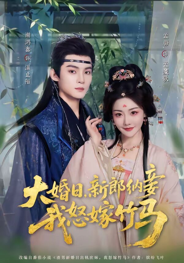 大婚日,新郎納妾我怒嫁竹馬海報
