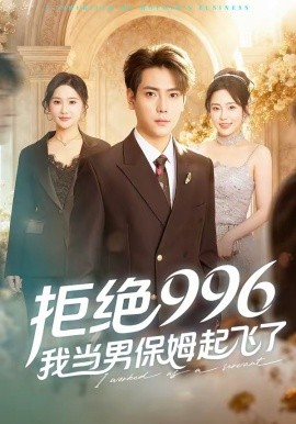 拒絕996,我當男保姆起飛了海報