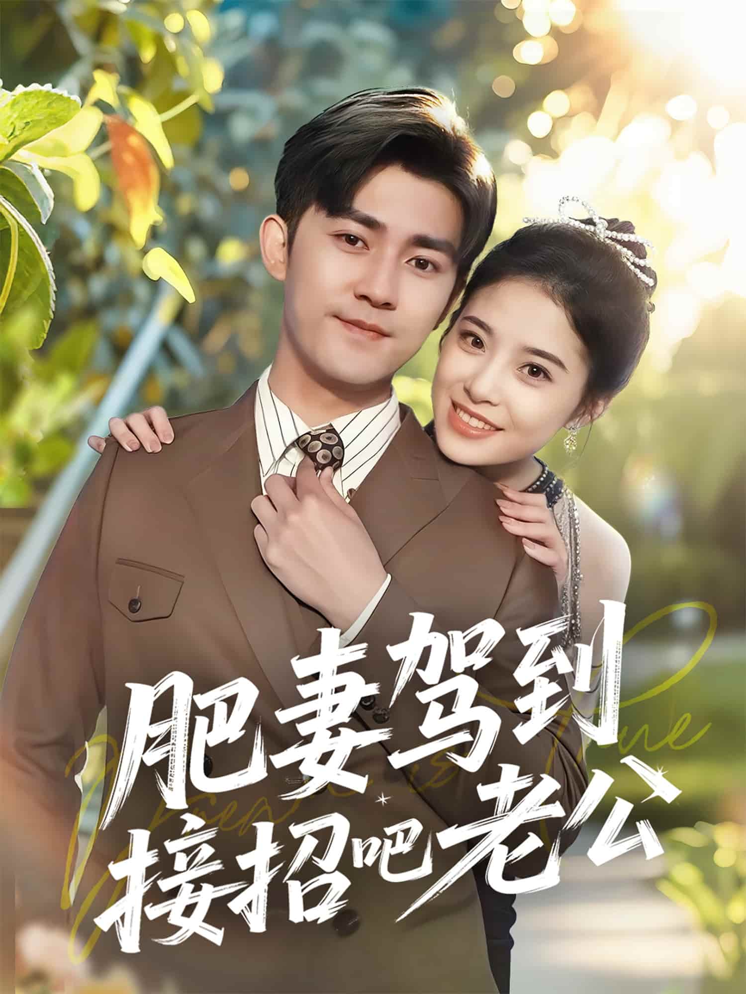 肥妻駕到接招吧老公海報