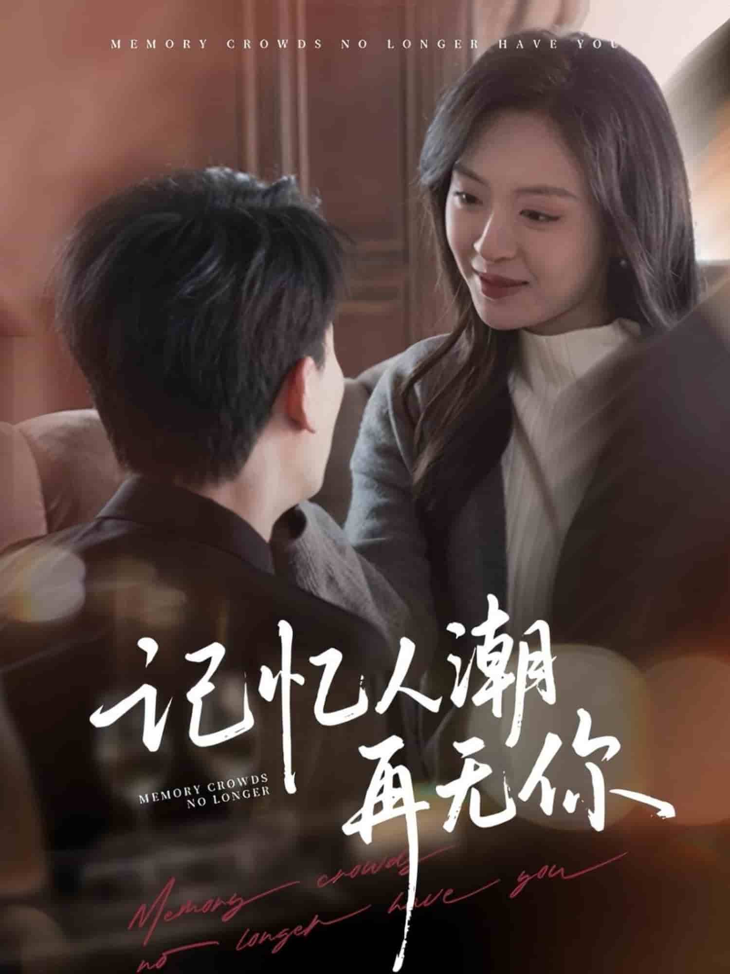 記憶人潮再無你海報