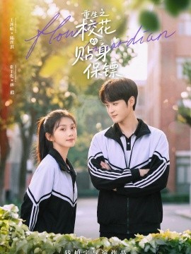重生之校花的貼身保鏢海報