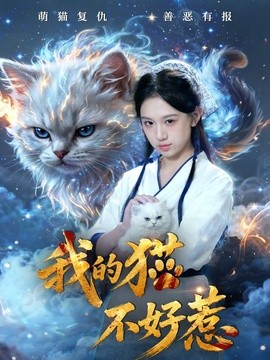 我的貓不好惹海報