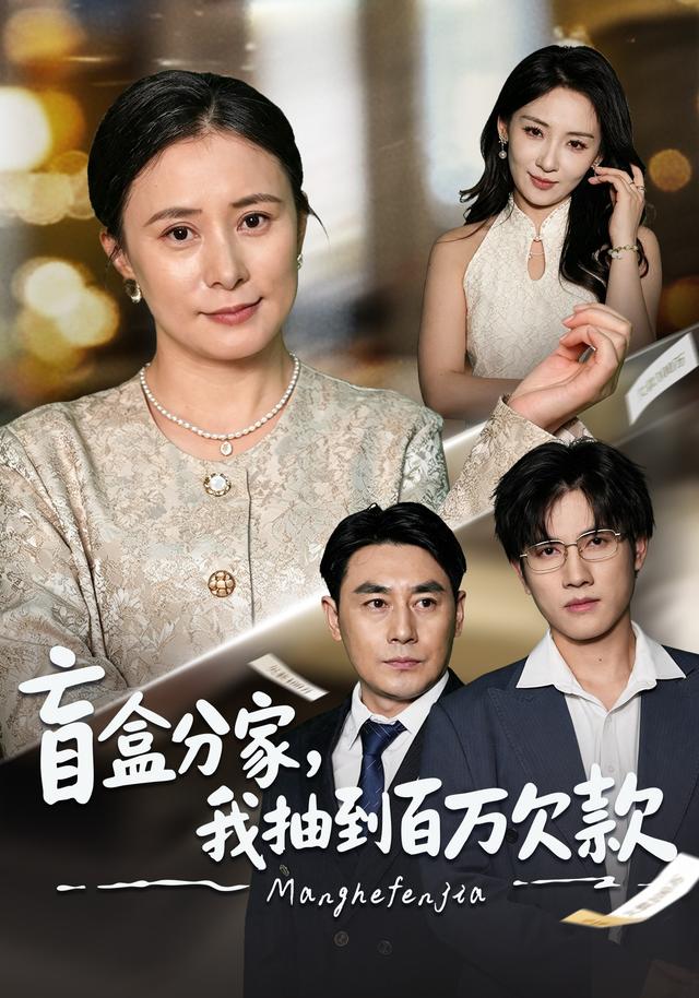 盲盒分家,我抽到百萬欠款海報