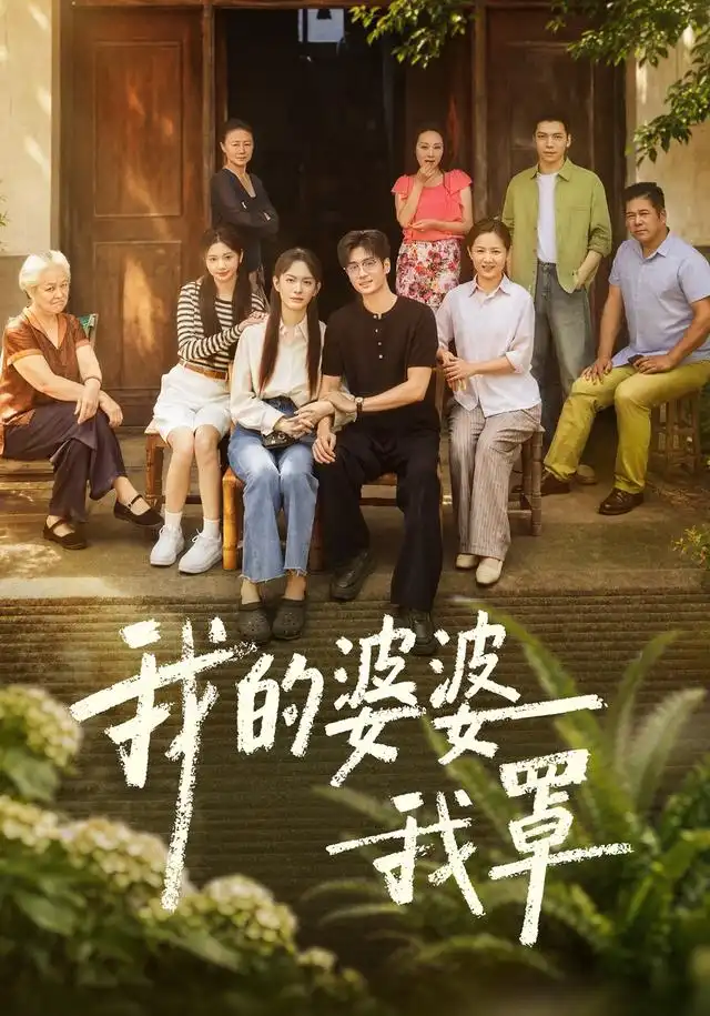 我的婆婆我罩海報