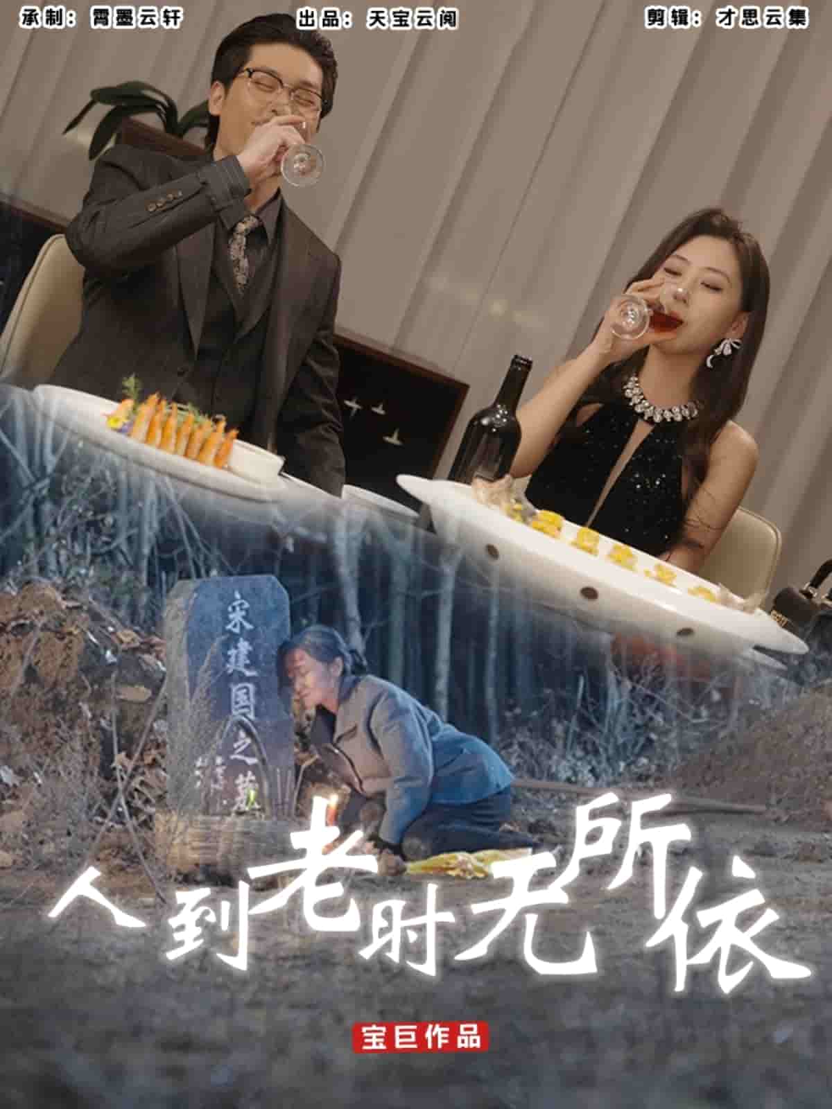 人到老時無所依海報