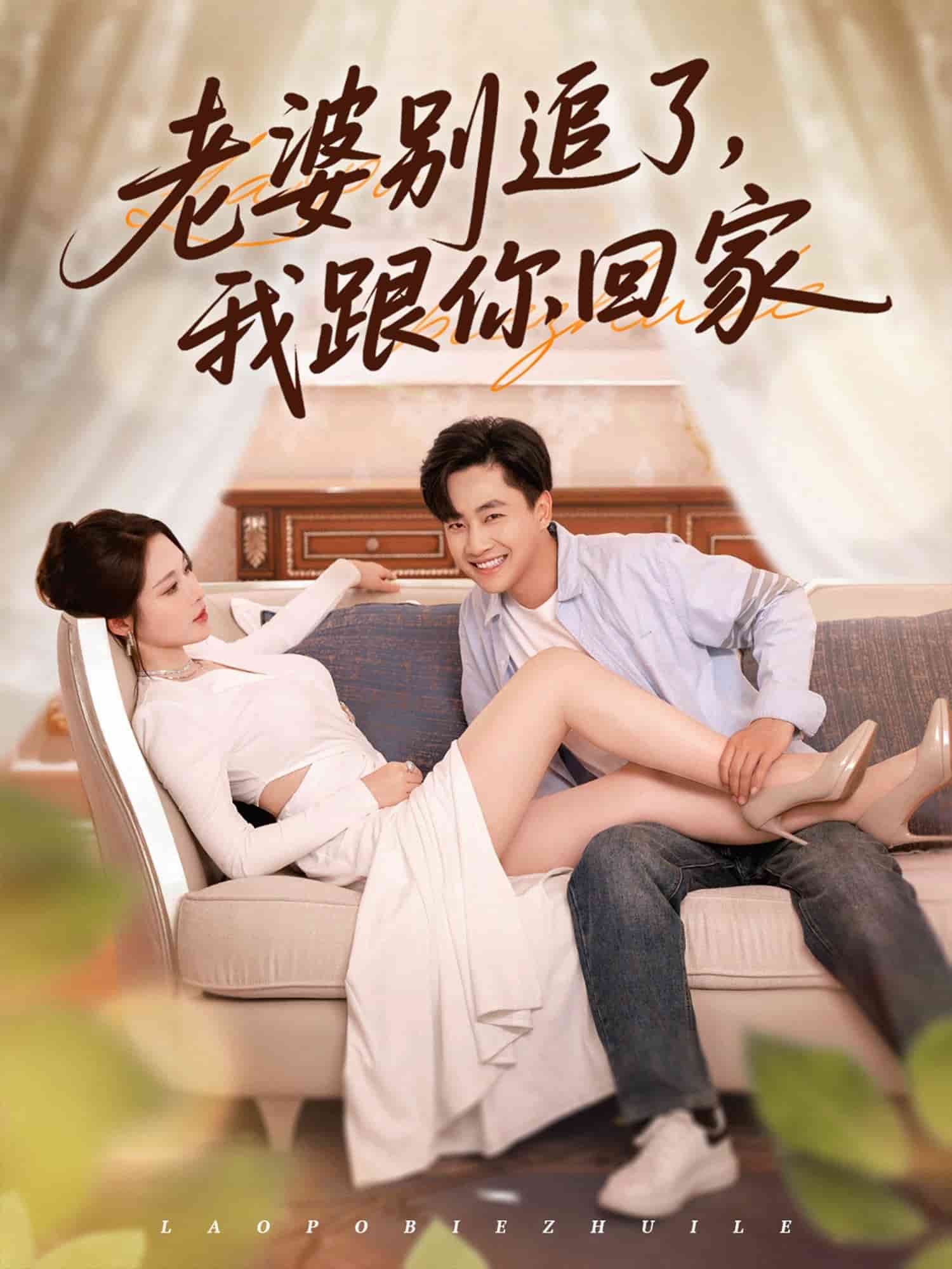 老婆別追了我跟你回家海報