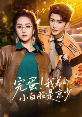 完蛋!我養的小白臉是京少海報