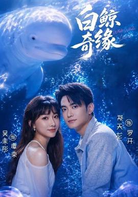 白鯨奇緣海報