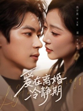 愛在離婚冷靜期海報
