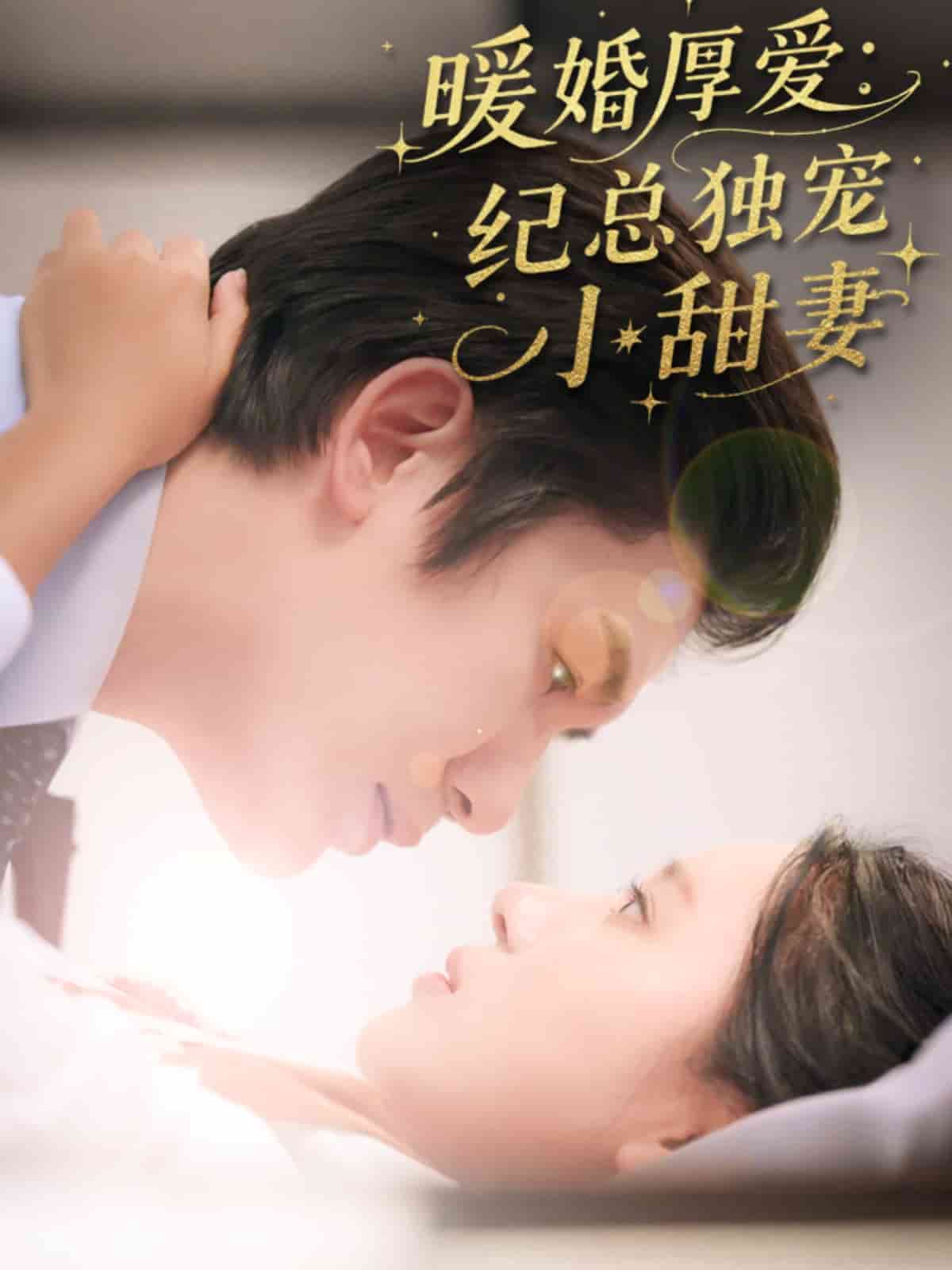 暖婚厚愛紀總獨寵小甜妻海報