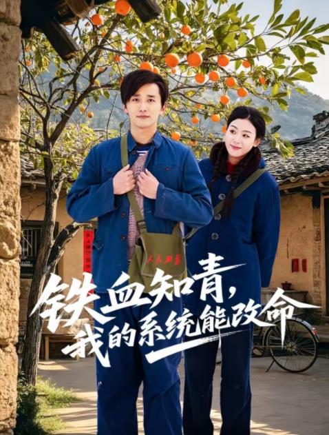 鐵血知青,我的系統能改命海報