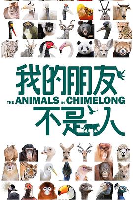 我的朋友不是人海報