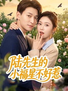 陸先生的小福星不好惹海報