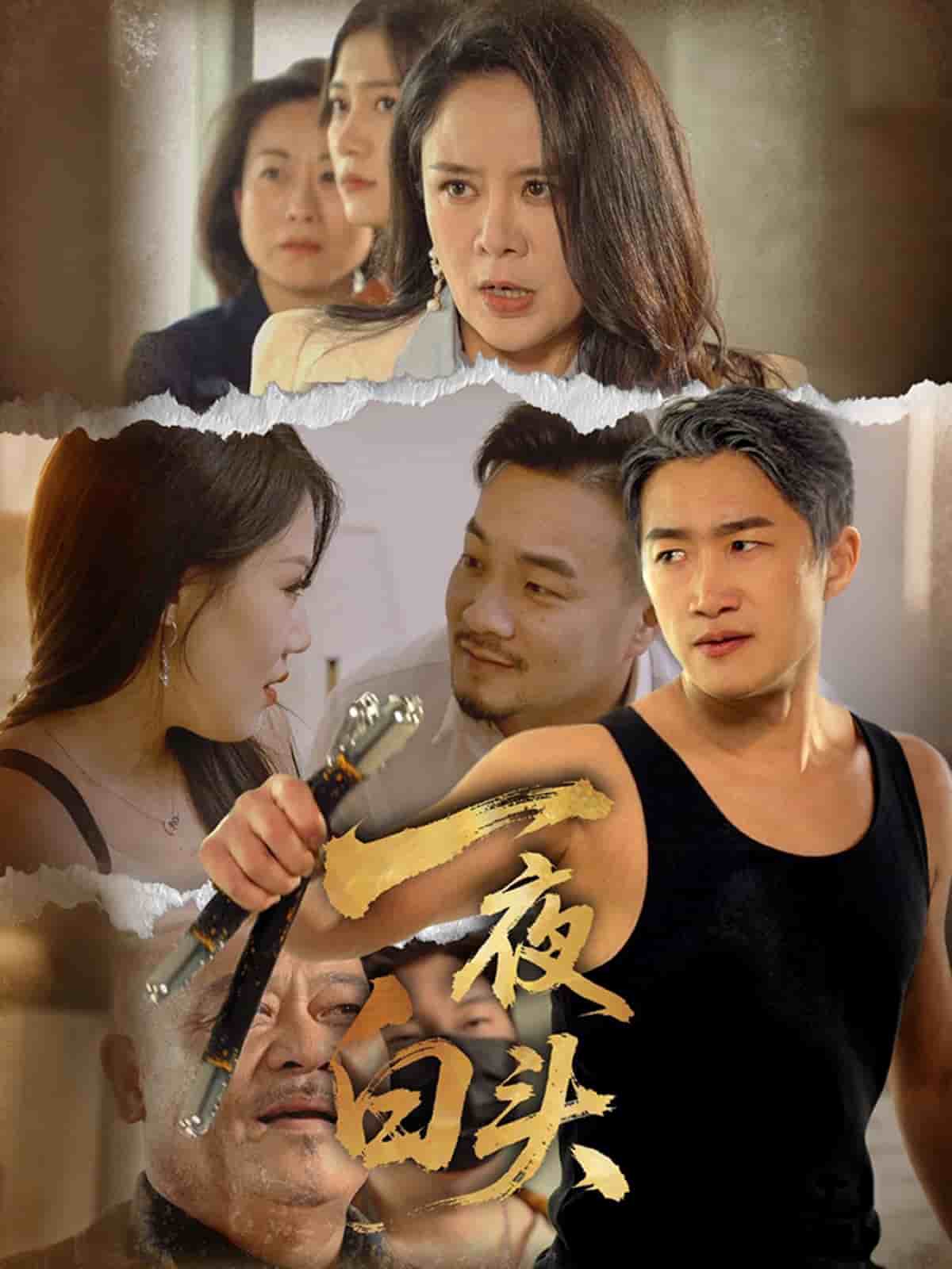一夜白頭海報
