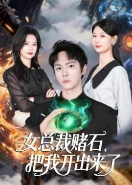 女總裁賭石,把我開出來了海報