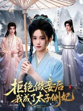 拒絕做妾後我成了太子側妃海報