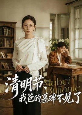 清明節,我爸的墓碑不見了海報