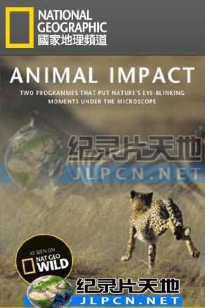 動物構造大揭密海報