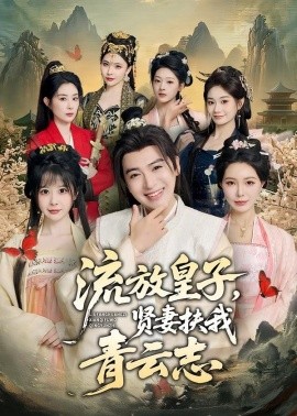 流放皇子,賢妻扶我青雲志海報