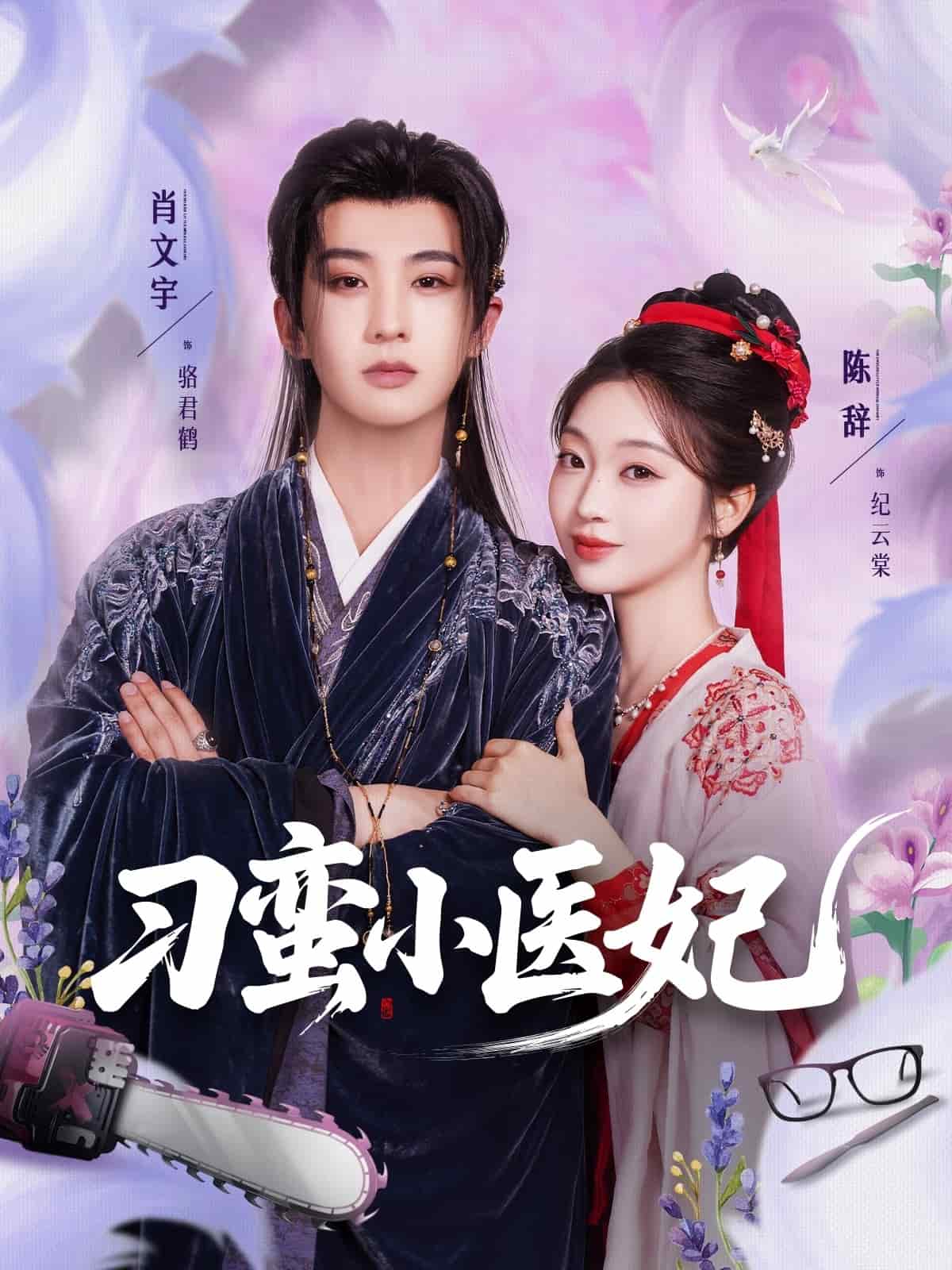 刁蠻小醫妃海報