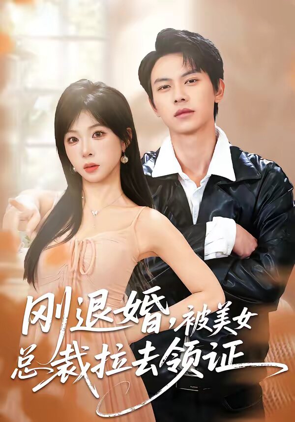 剛退婚,被美女總裁拉去領證海報