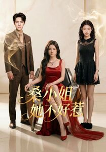 桑小姐她不好惹海報