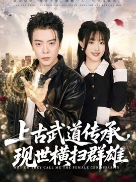 上古武道傳承,現世橫掃群雄海報