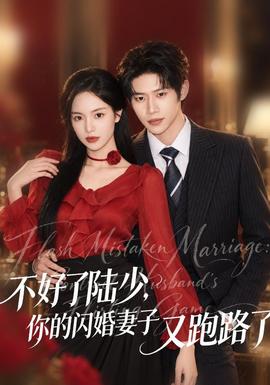 不好了陸少,你的閃婚妻子又跑路了海報