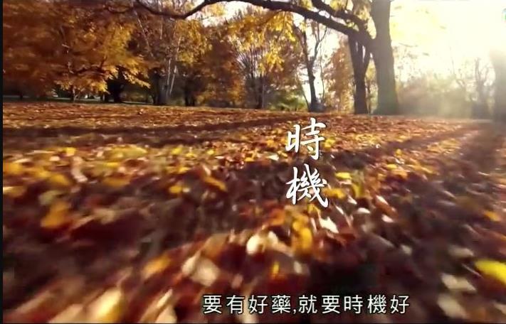 神奇百草遊海報