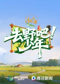 去野吧少年海報