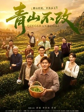 青山不改海報