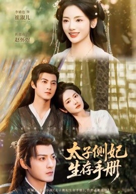 太子側妃生存手冊海報