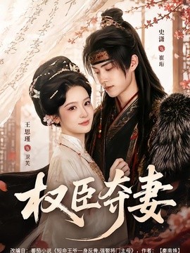 權臣奪妻海報