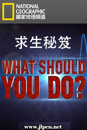 求生秘笈海報