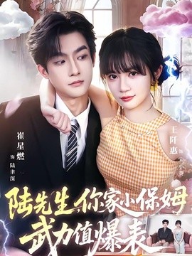 陸先生,你家小保姆武力值爆表海報